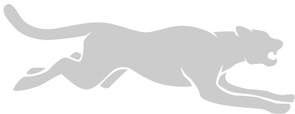 Big Cat vector