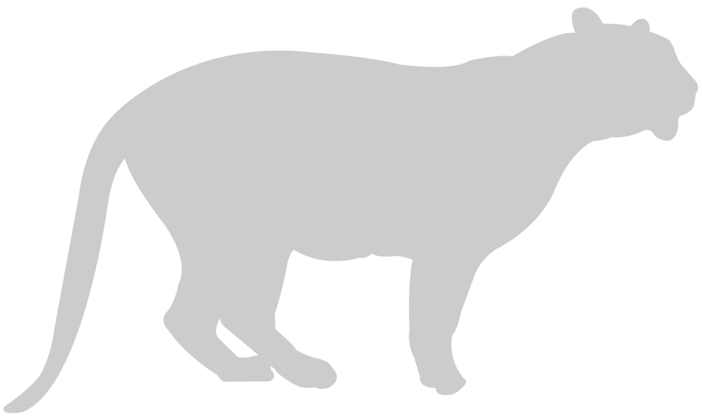 Big Cat vector