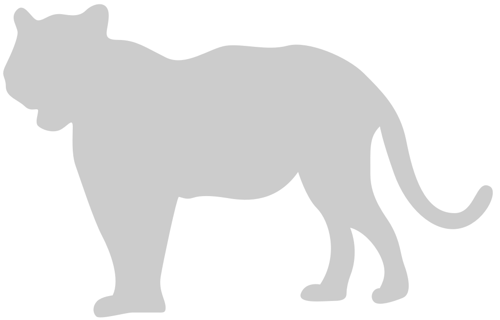 Big Cat vector