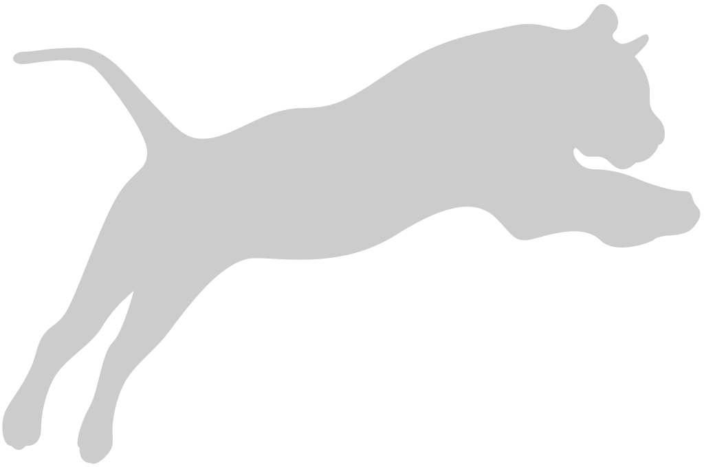 Big Cat vector