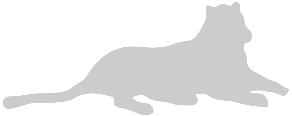 Big Cat vector