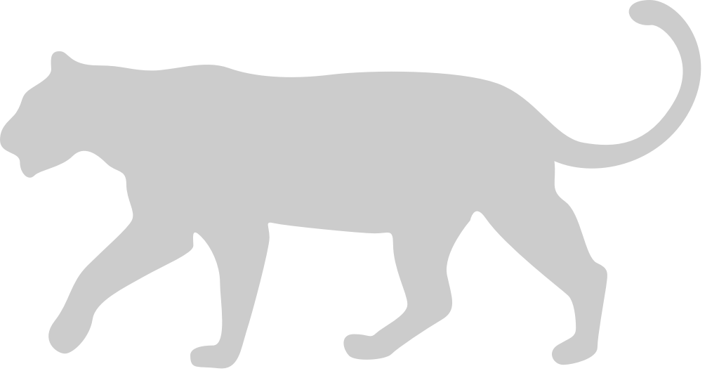 Big Cat vector