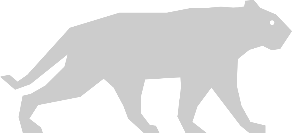 Big Cat vector