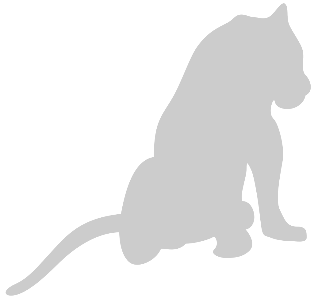 Big Cat vector