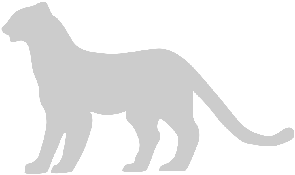 Big Cat vector