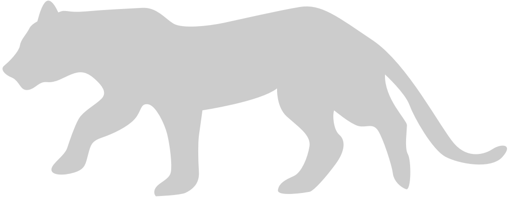 Big Cat vector
