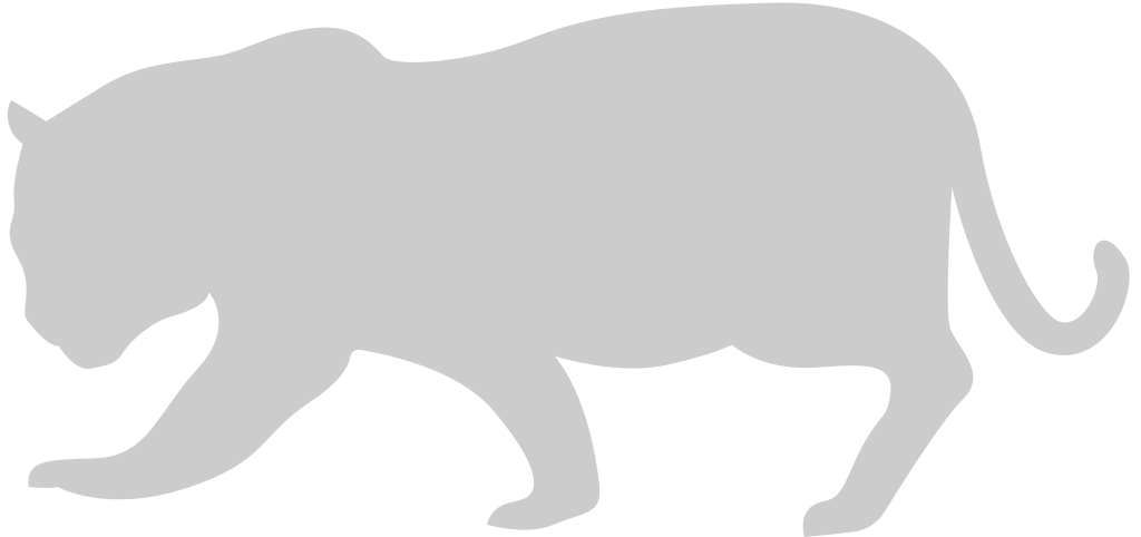Big Cat vector