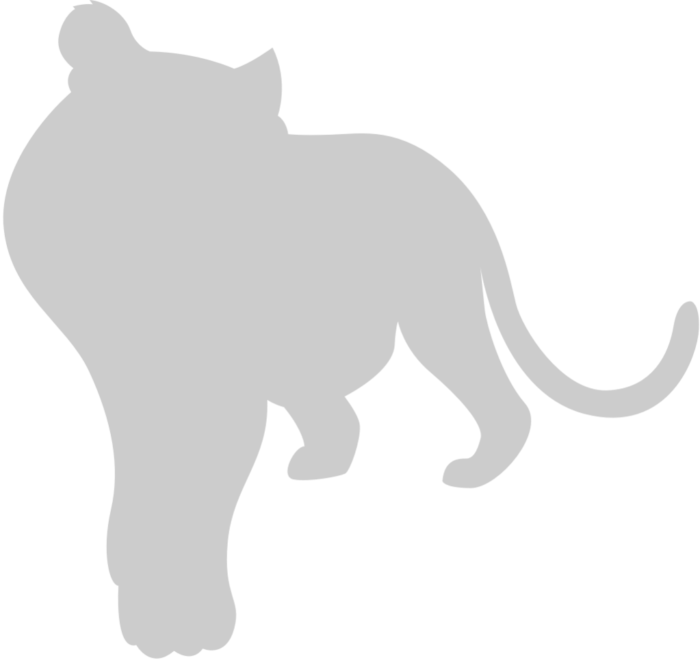 Big Cat vector