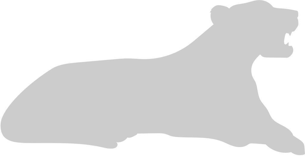 Big Cat vector