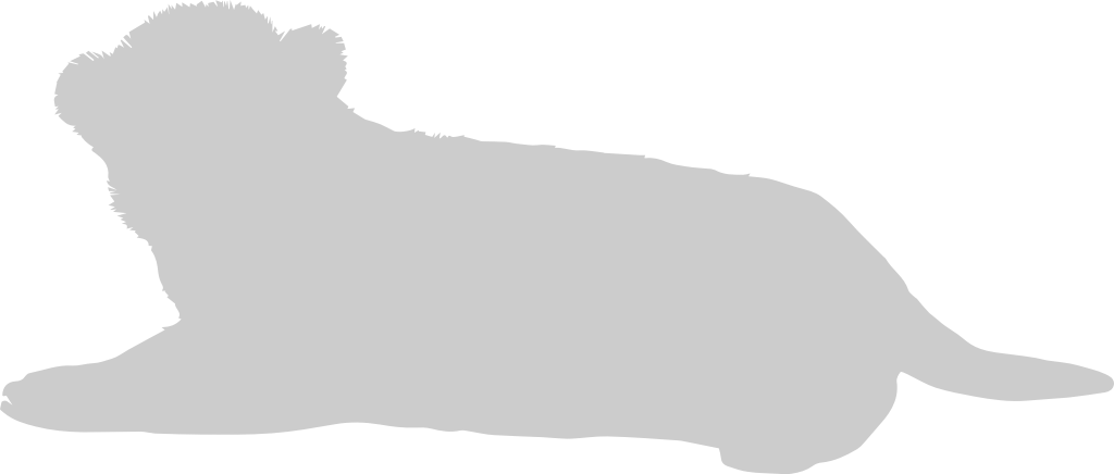 Tiger vector
