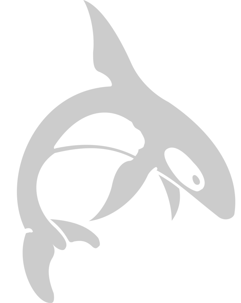 Whale vector