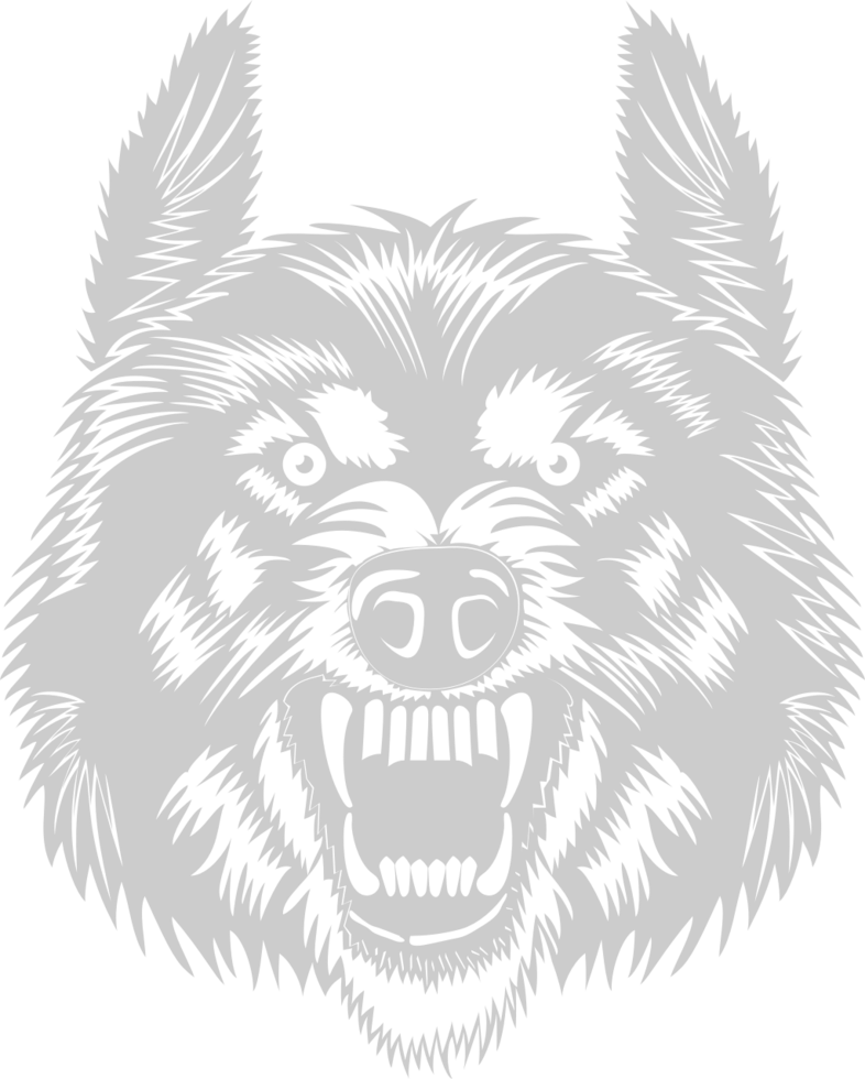 Wolf vector