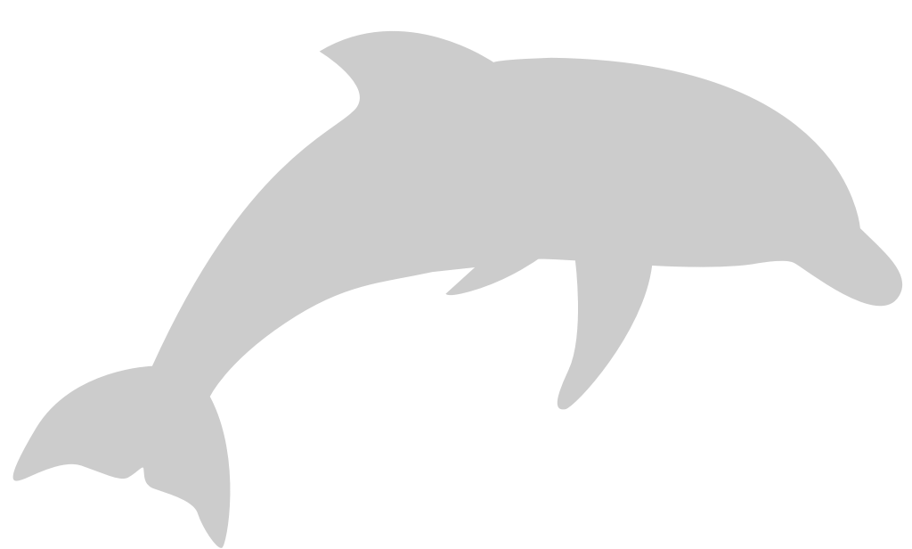 Summer Vacation Dolphin vector