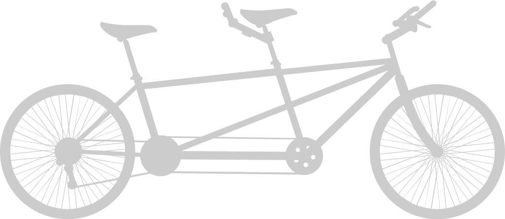 custom bicycle vector
