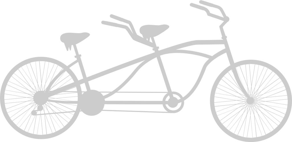 custom bicycle vector