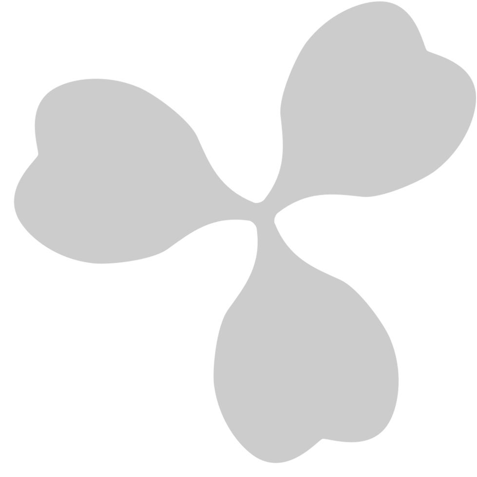 Shamrock  vector