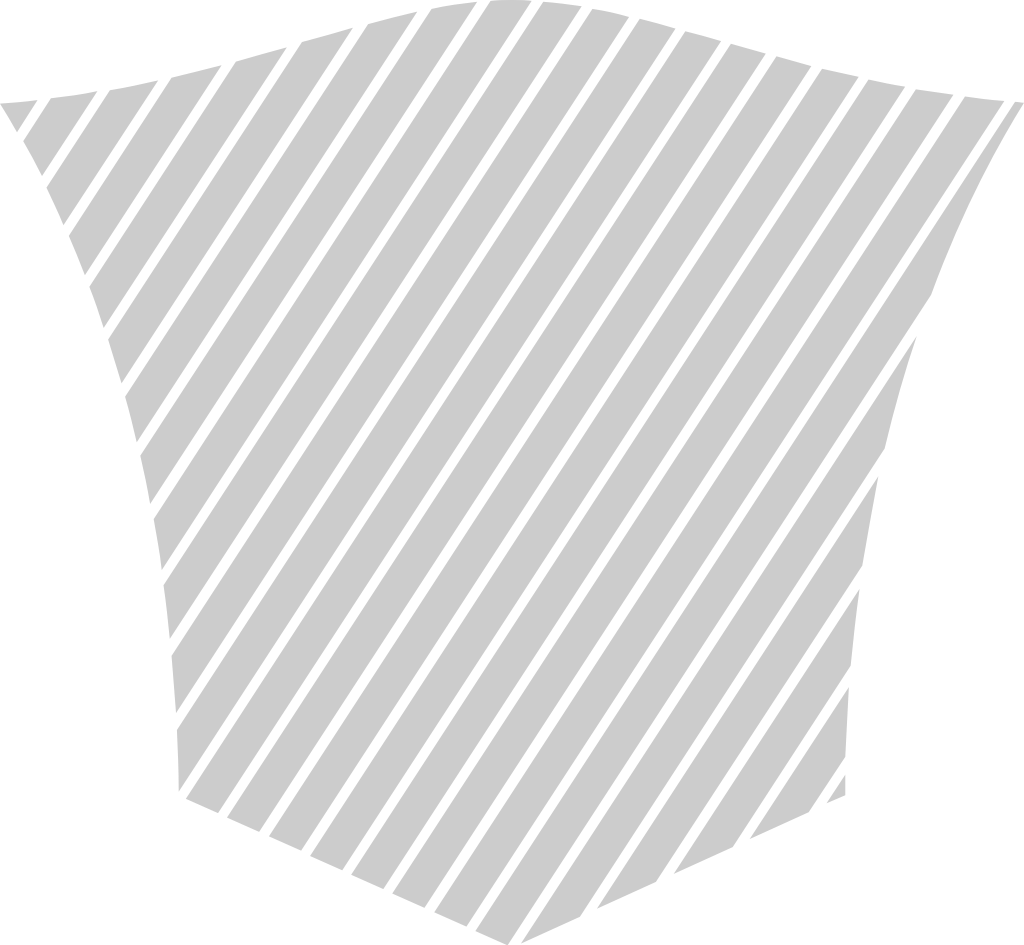 Shield vector