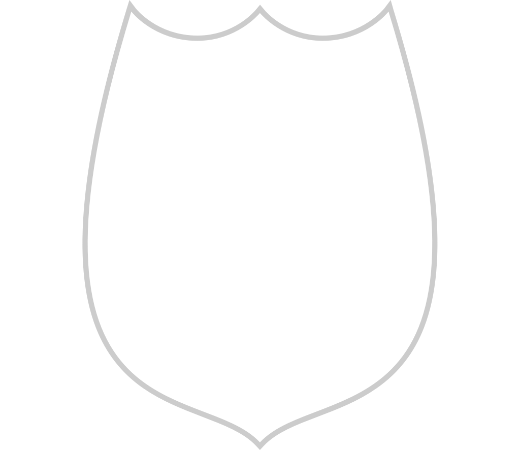 Shield outline vector