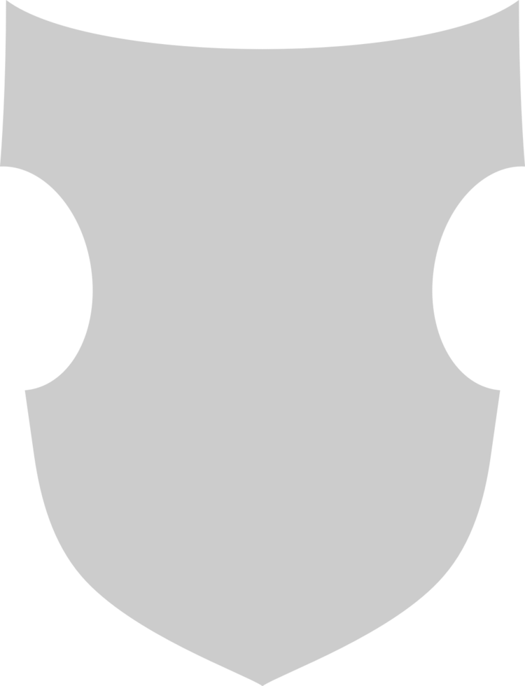 Shield vector