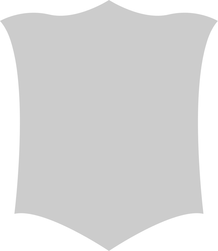 Shield  vector
