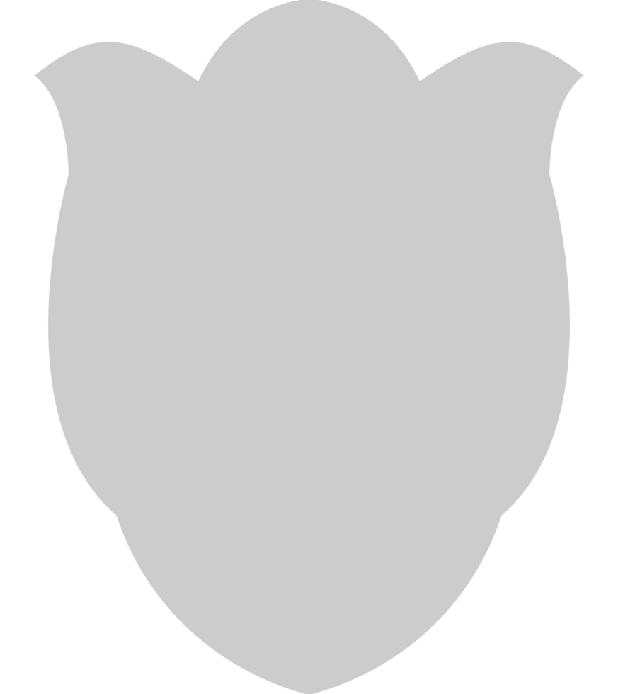 Shield vector