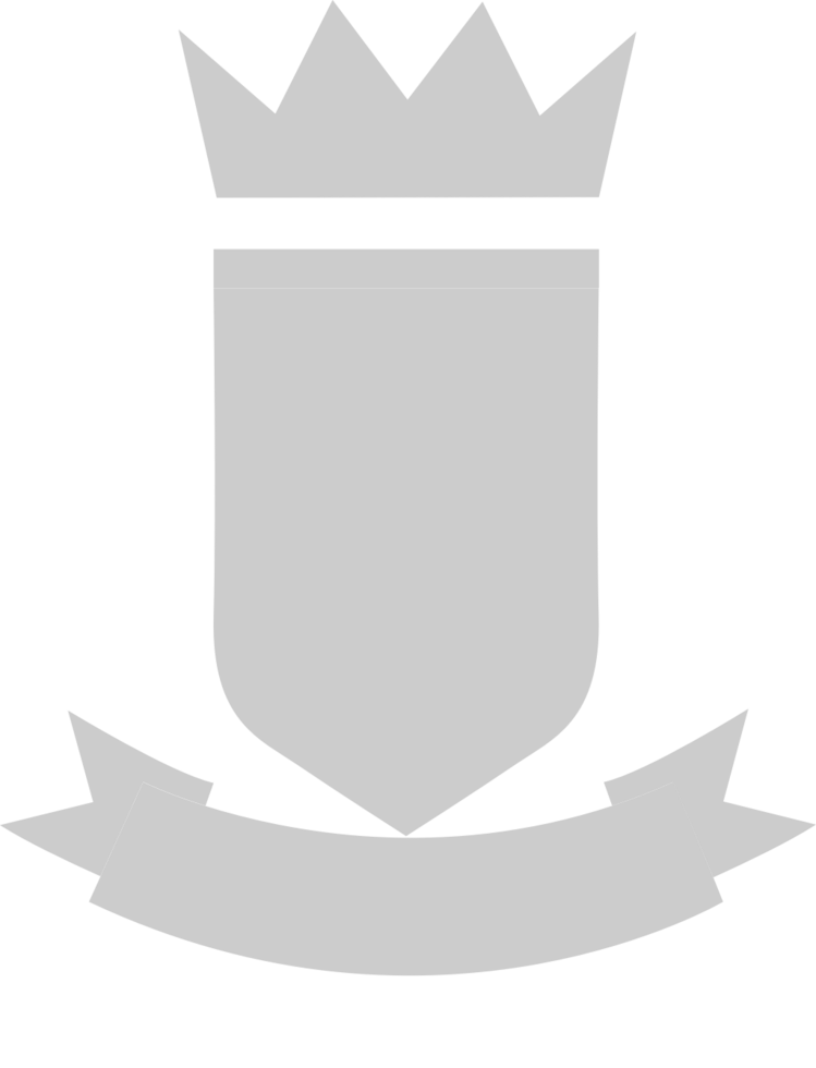 Shield crown  vector