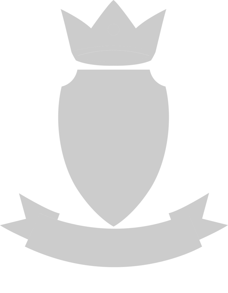 Shield crown  vector