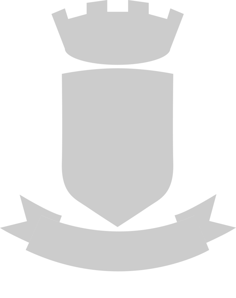 Shield crown  vector