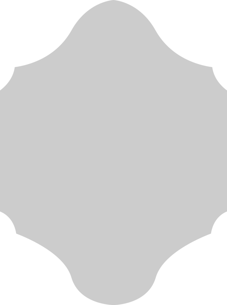 Shield vector