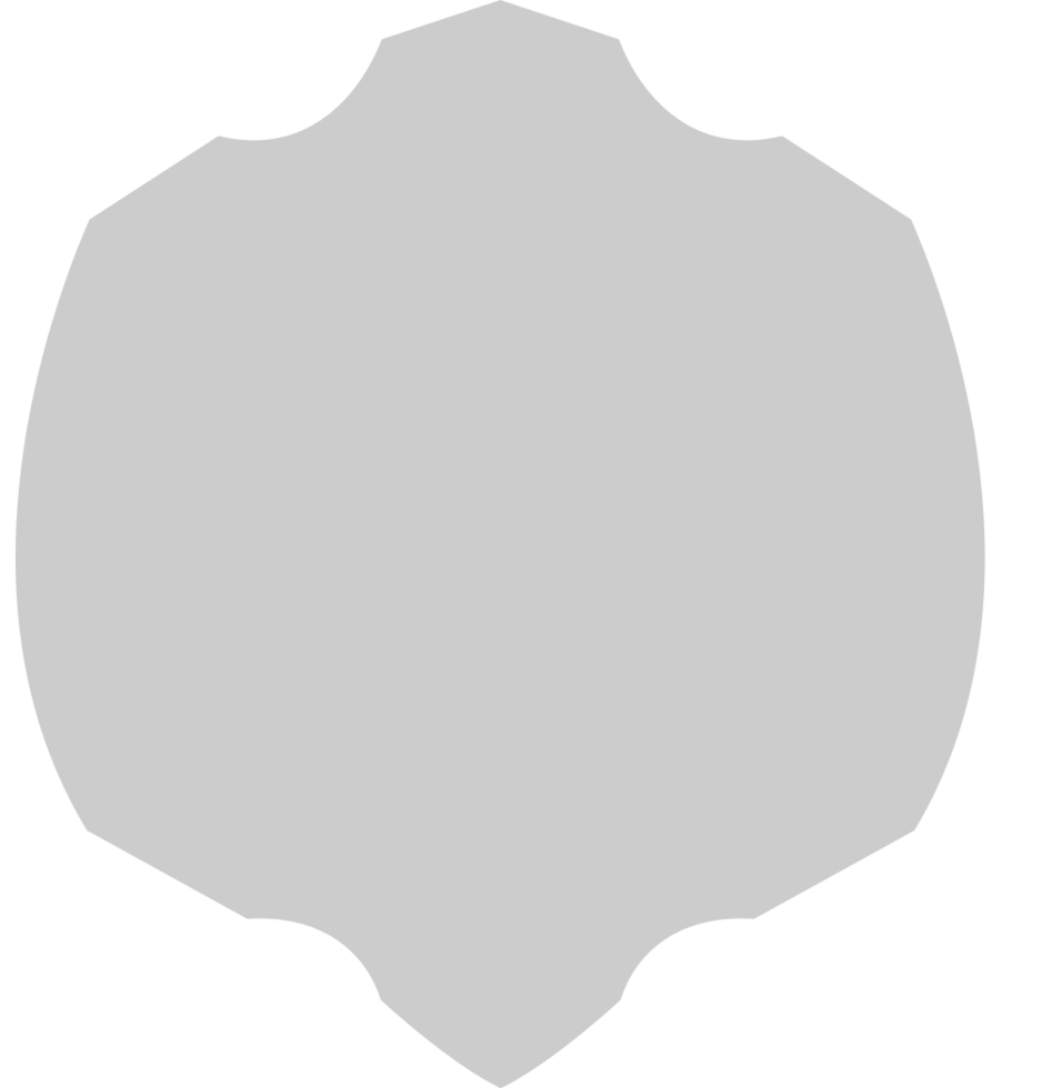Shield vector