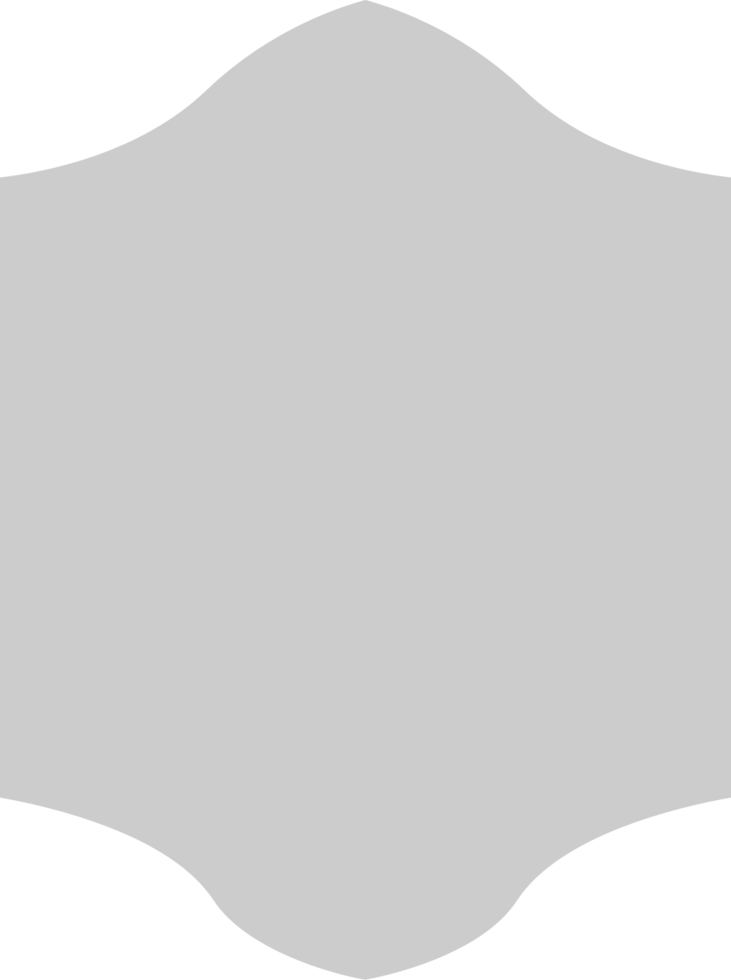 Shield vector