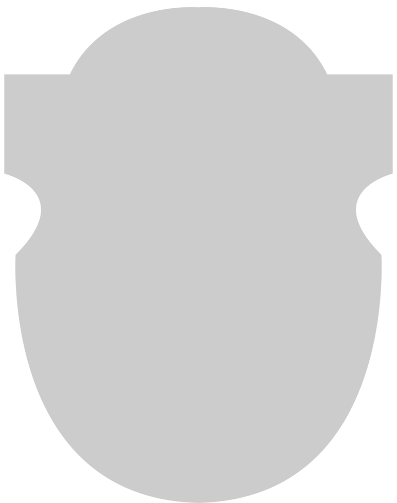 Shield vector