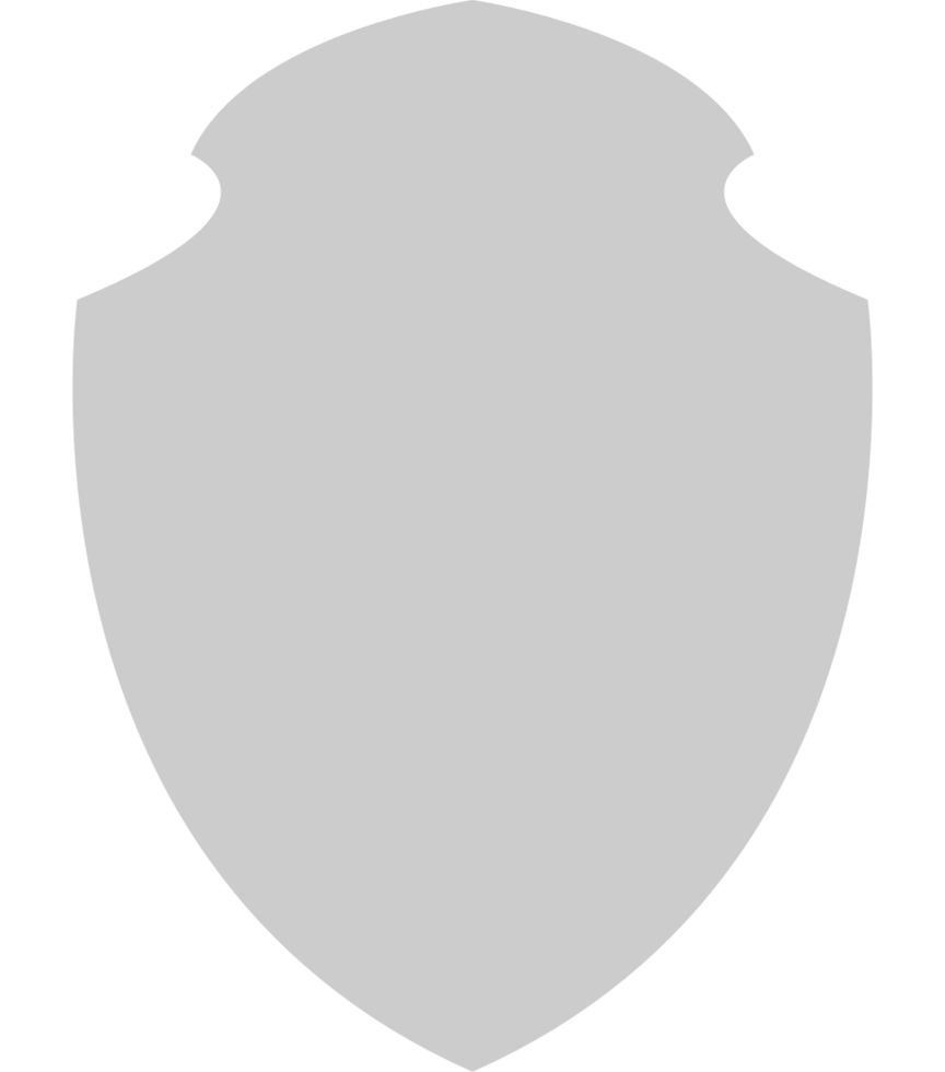 Shield vector