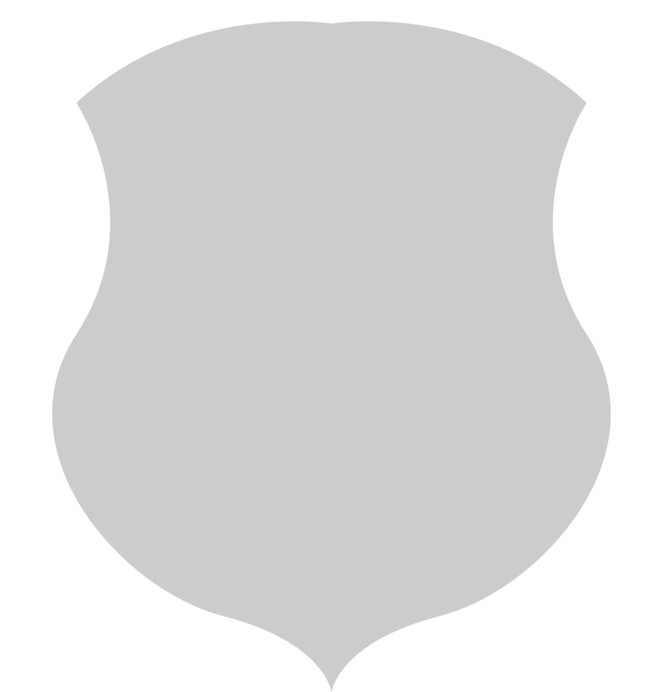 Shield vector