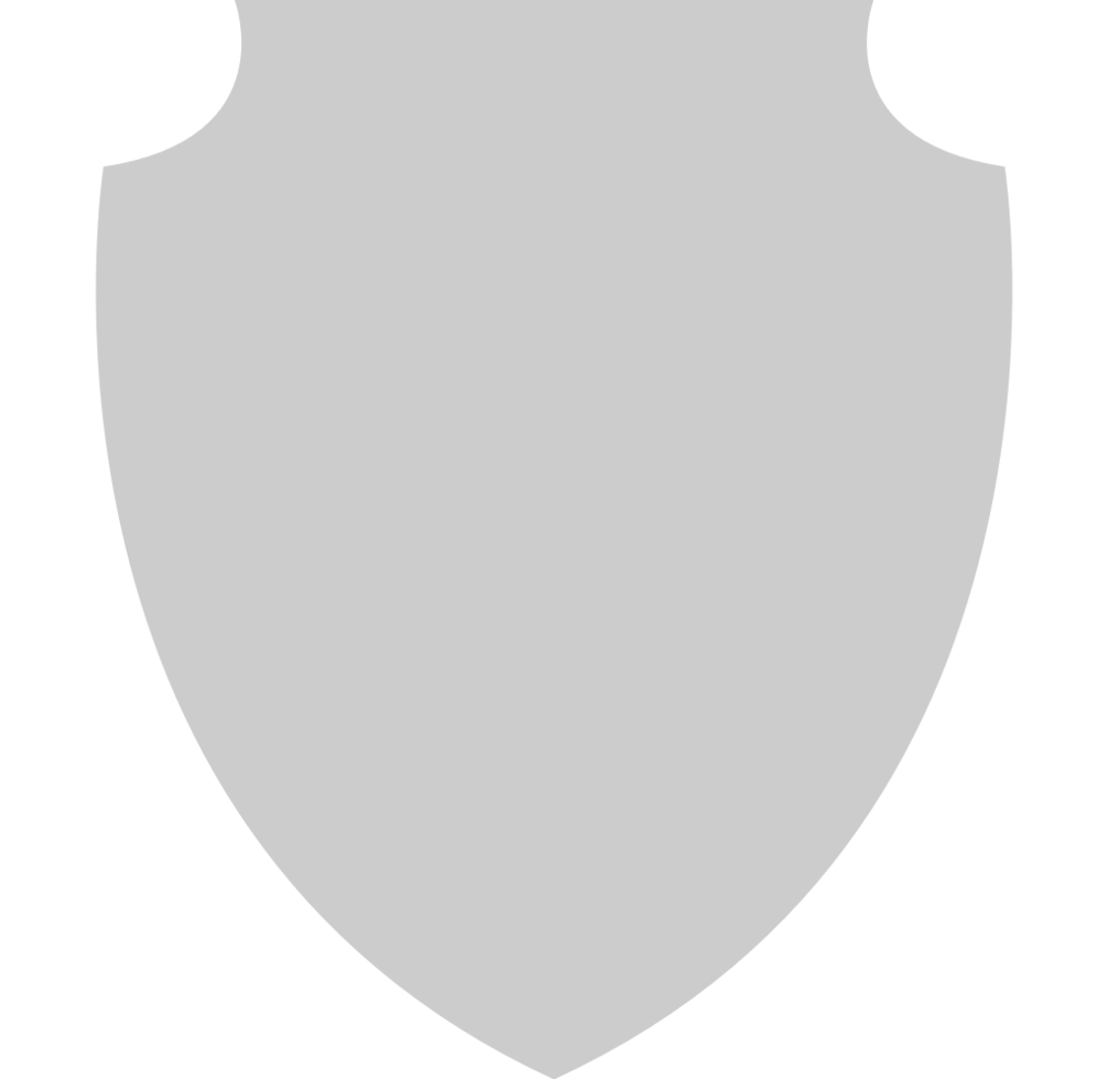 Shield vector