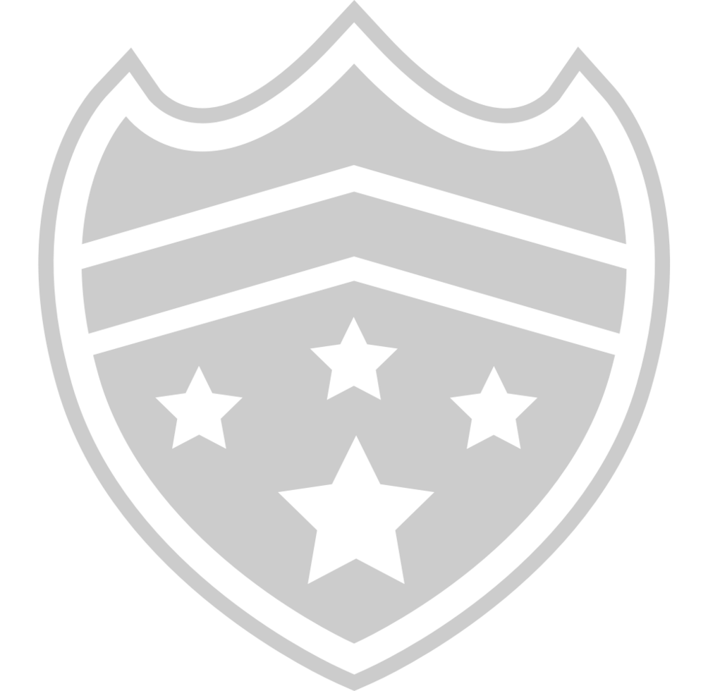 Shield star vector