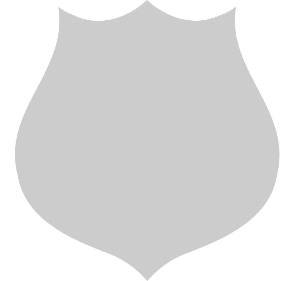 Shield vector