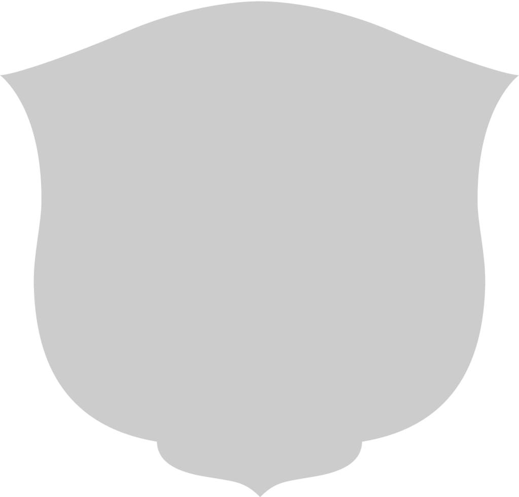 Shield vector