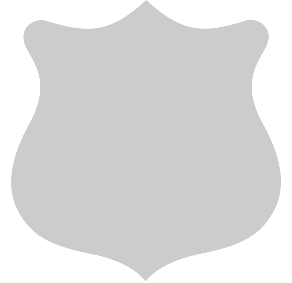 Shield vector