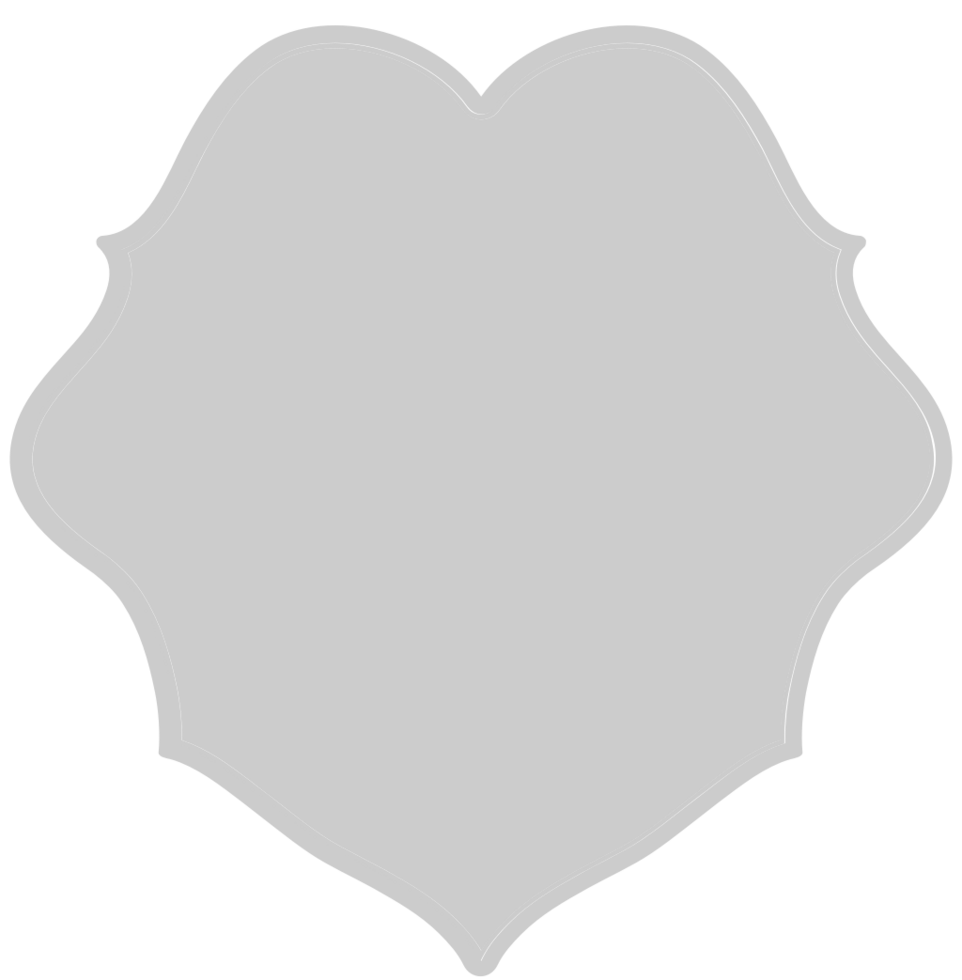 Shield vintage vector