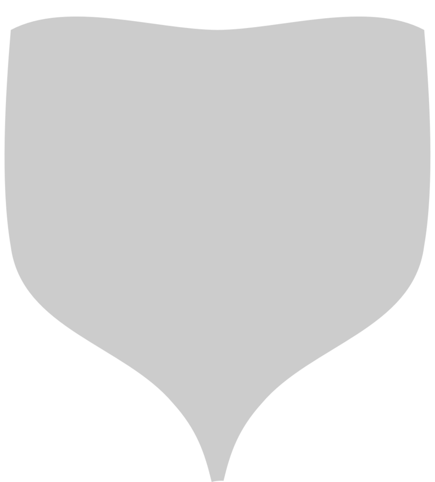 Shield vintage vector