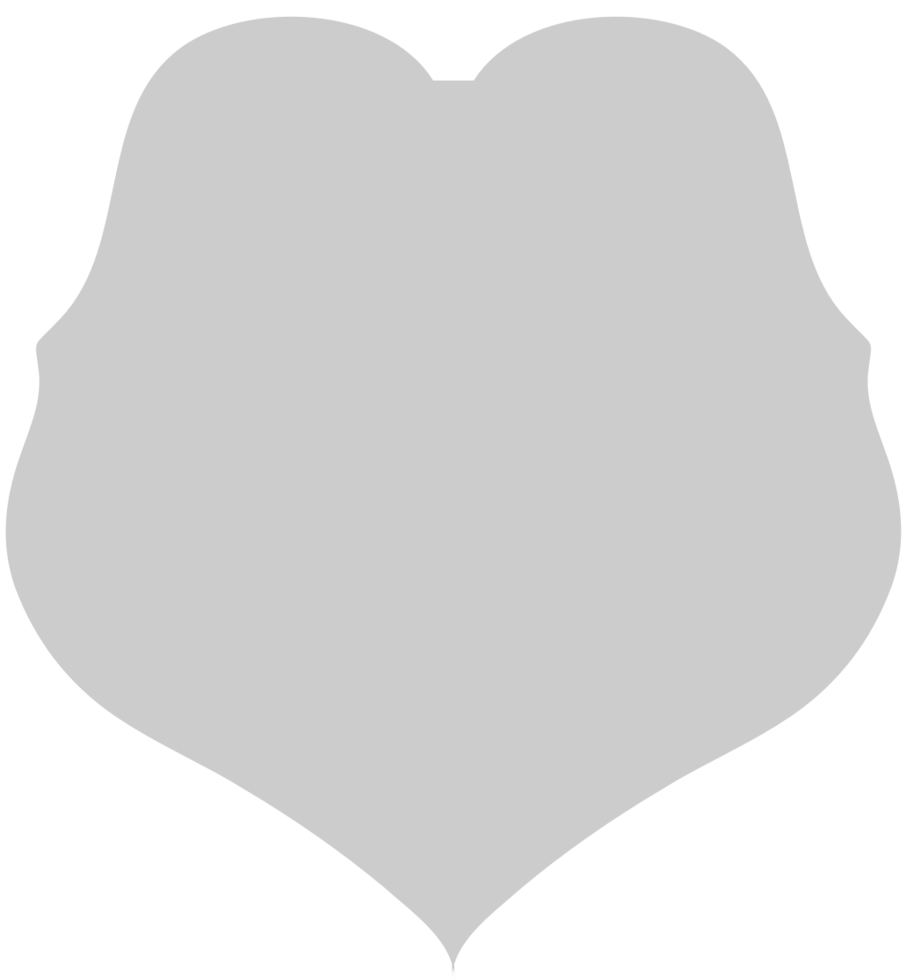 Shield vintage vector