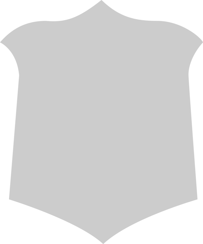 Shield vector