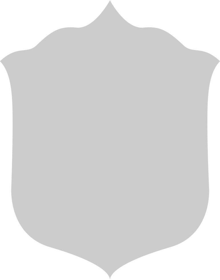 Shield vector