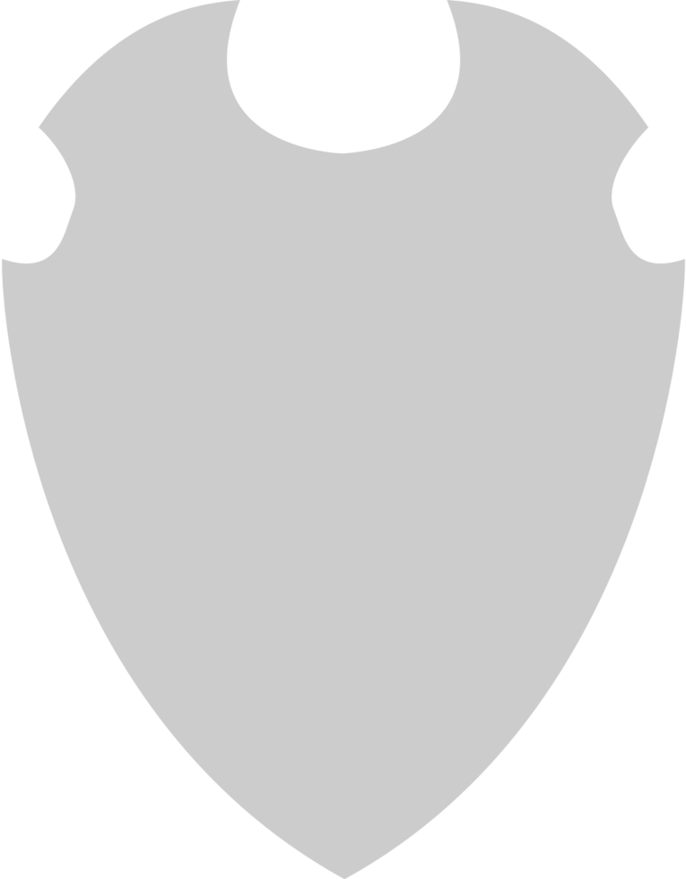 Shield vector