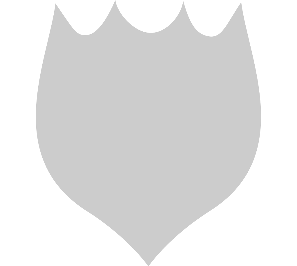 Shield vector