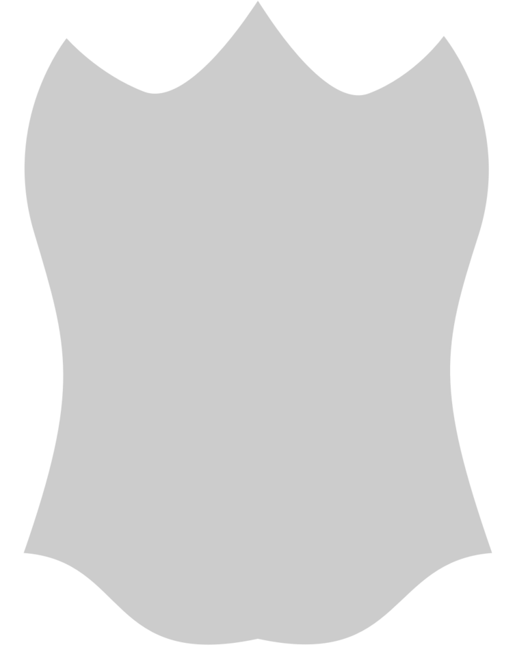 Shield 36634987 Vector Art at Vecteezy