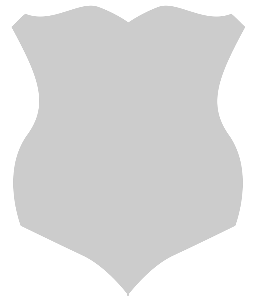 Shield vector