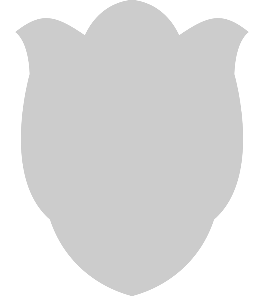 Shield vector