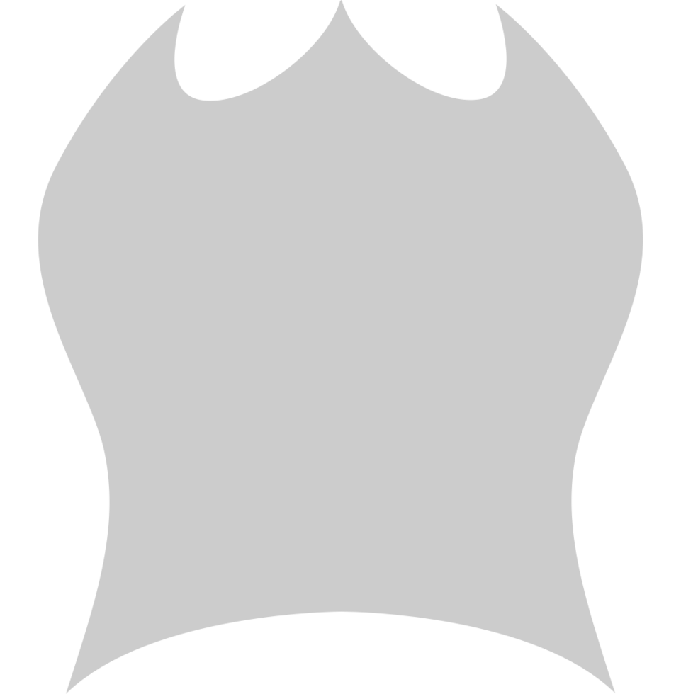 Shield vector